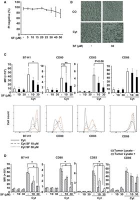 Sulforaphane Promotes Dendritic Cell Stimulatory Capacity Through Modulation of Regulatory Molecules, JAK/STAT3- and MicroRNA-Signaling